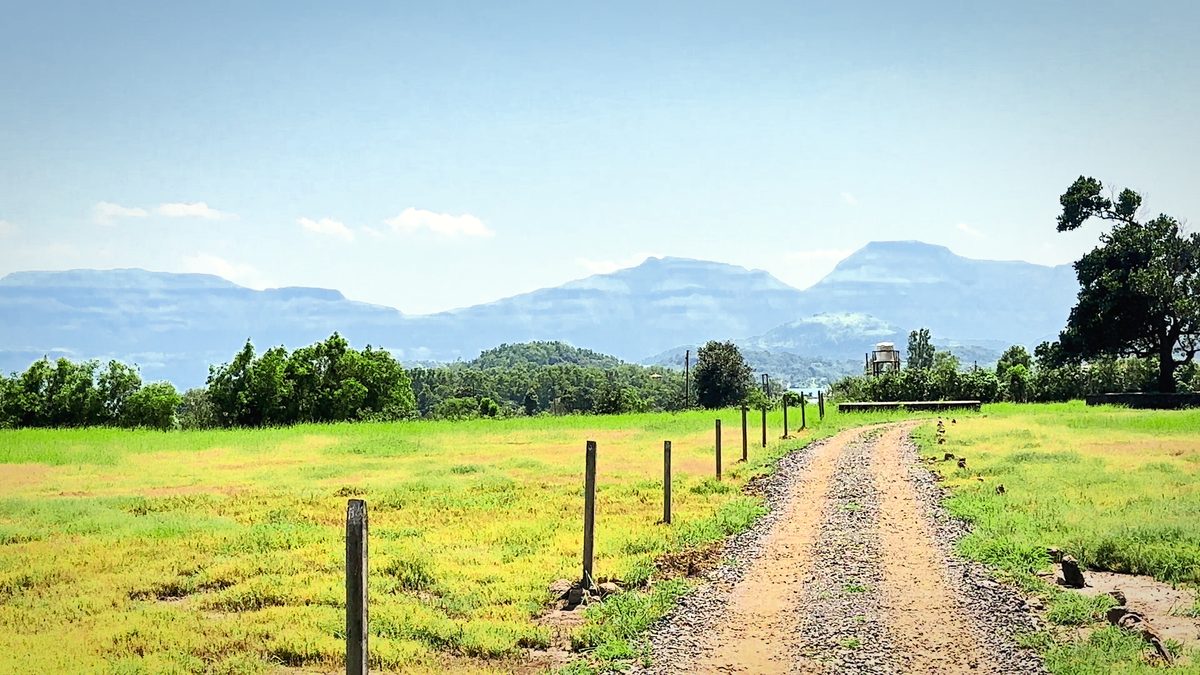 Fenced Trail, Bhandardara: free 4K wallpaper