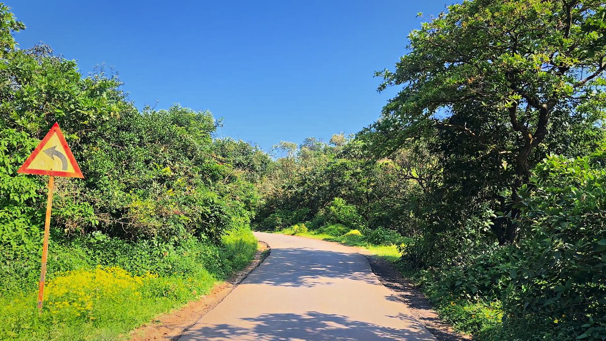 Green Ghat Road, Bhandardara: free 4K wallpaper