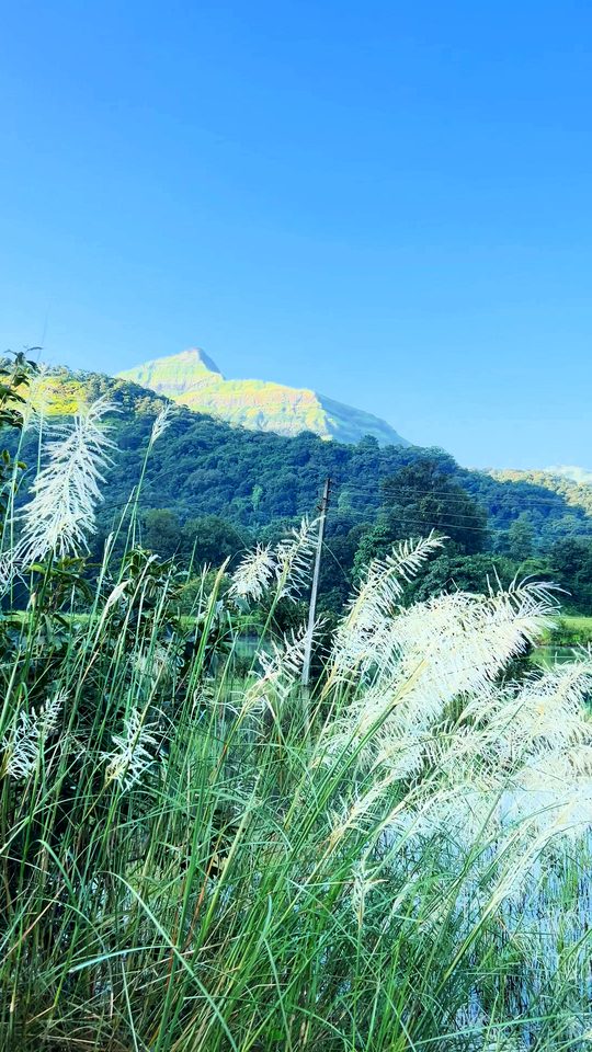 Kans grass and the pinnacle, Bhandardara: free 4K wallpaper