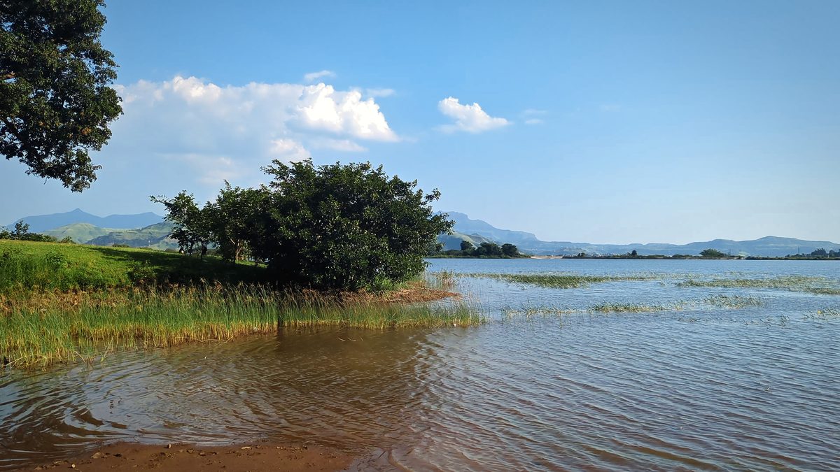 Lone Bush In The Lake, Bhandardara: free 4K wallpaper