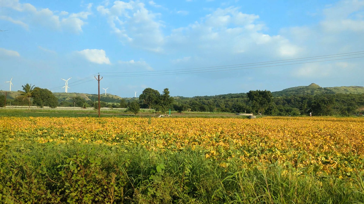 Fields and windmills, Sinnar: free 4K wallpaper