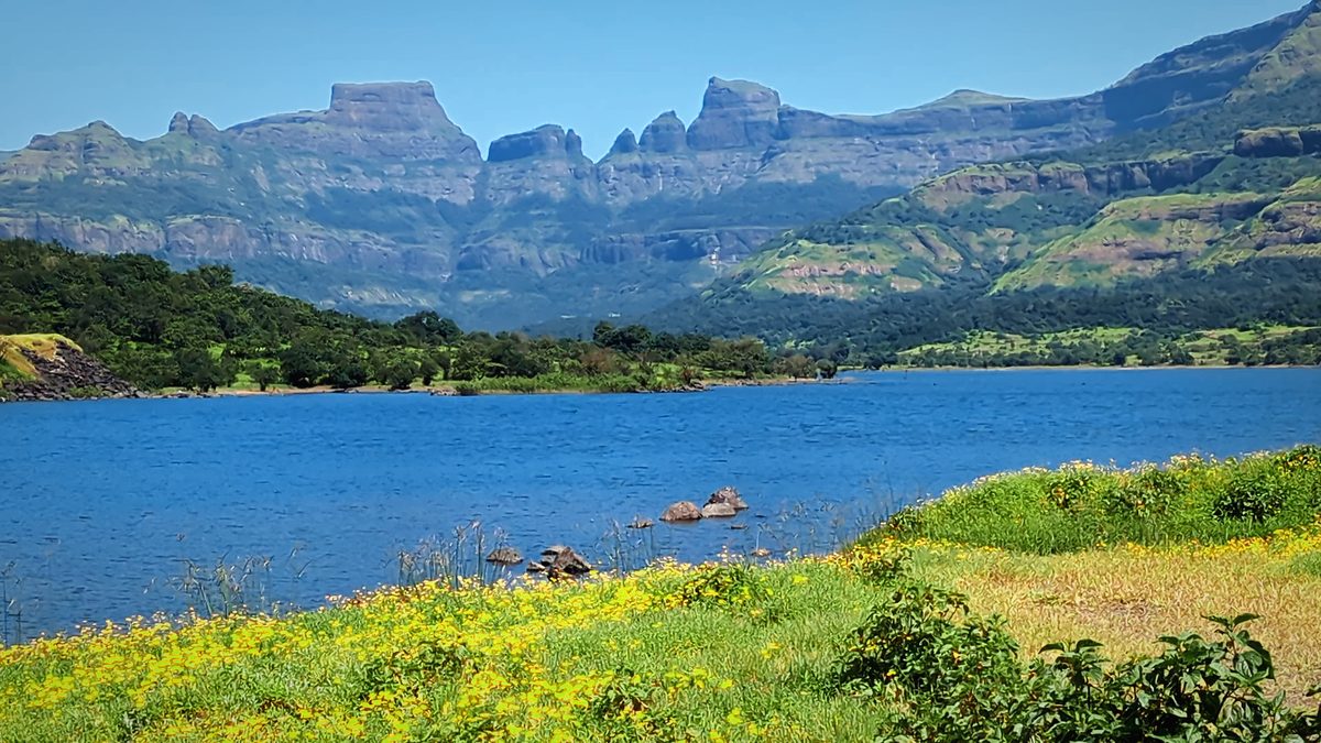 Pinnacles And Wildflowers, Bhandardara: free 4K wallpaper